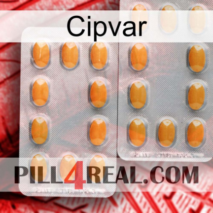 Cipvar cialis4